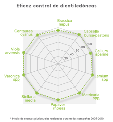 Media de ensayos plurianual